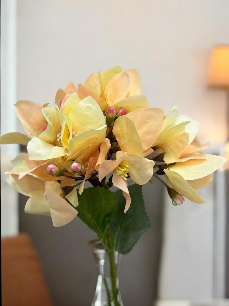 Tige bougaivillier beige