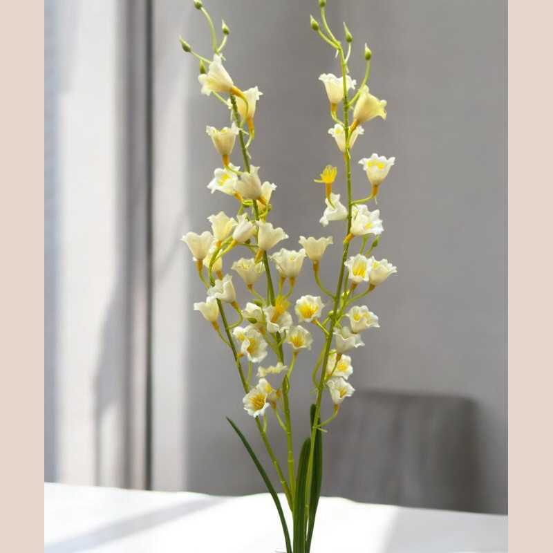 Tige oncidium blanc
