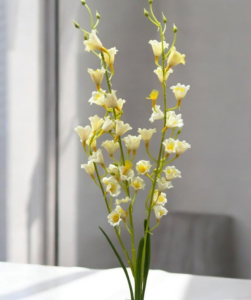 Tige oncidium blanc