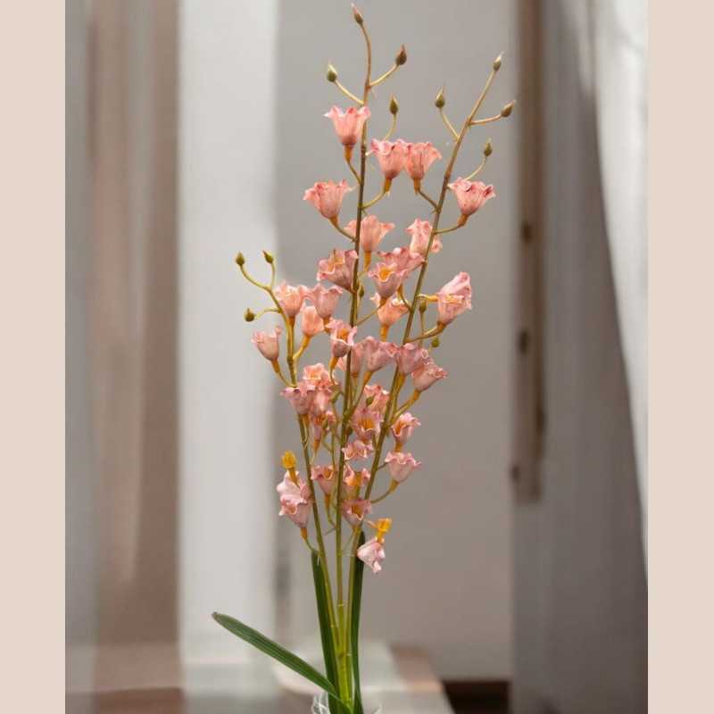 Tige oncidium rose