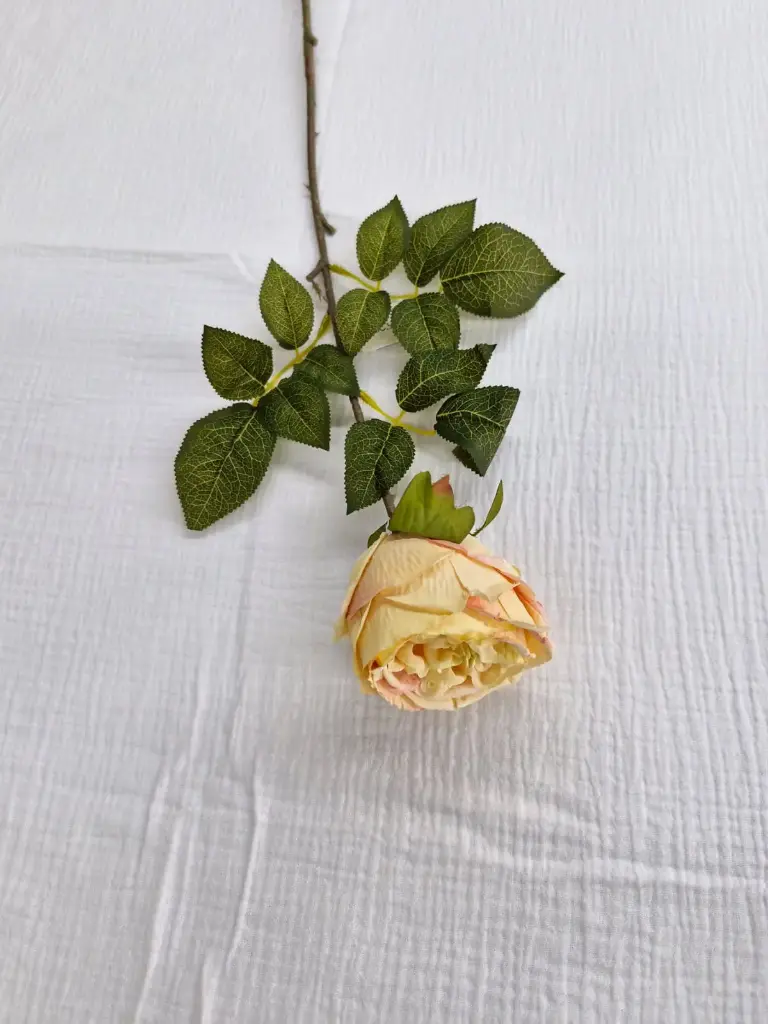 Tige de fleurs-jaune