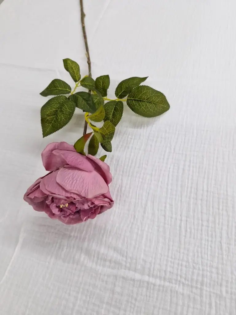 Tige de fleurs-rose fonce