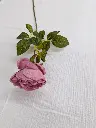 Tige de fleurs-rose fonce