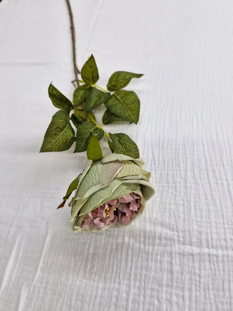 Tige de fleurs-vert