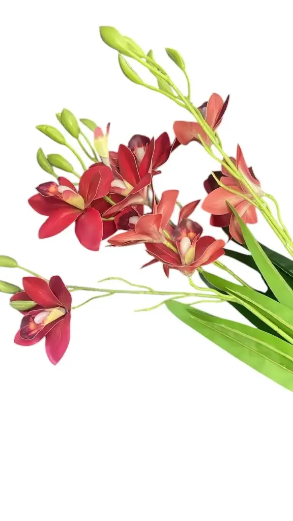 Bouquet d'orchidee  rouge