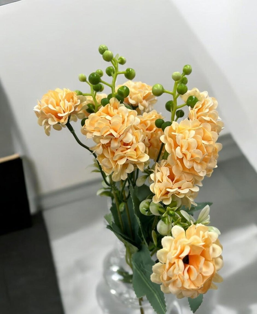 Bouquet d'horesias beige