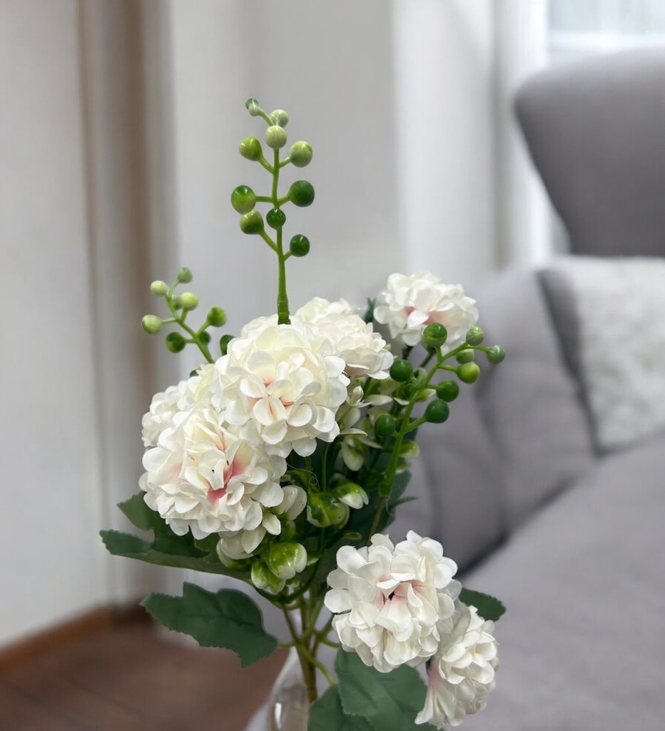 Bouquet d'horesias blanc/rose