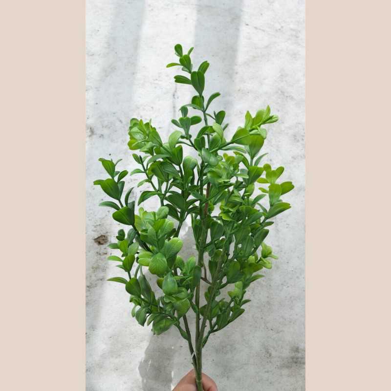 Bouquet eucalyptus