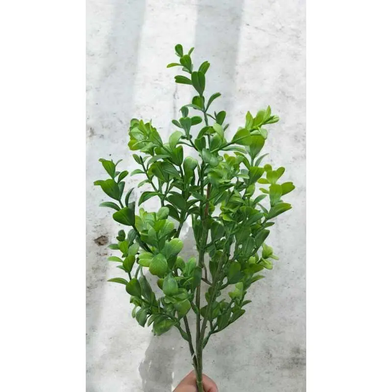 Bouquet eucalyptus