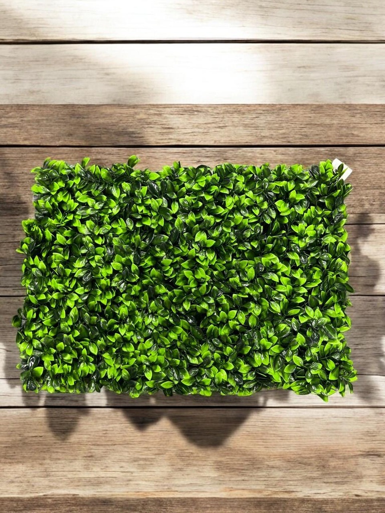 Plaque verdure 40x60 cm