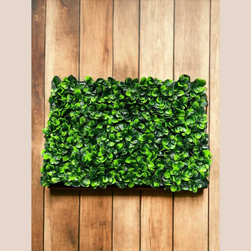 Plaque verdure - 40x60 cm
