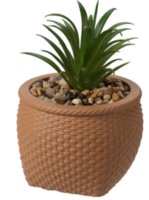 Plante en pot 8x11cm m2 beige