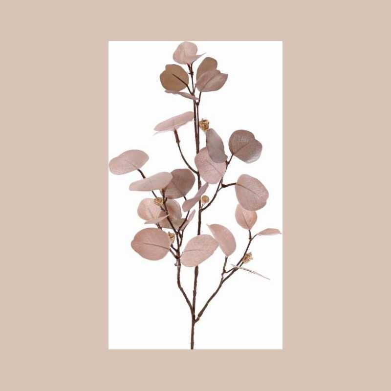 Branche eucalyptus rose