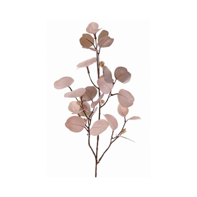 Branche eucalyptus rose