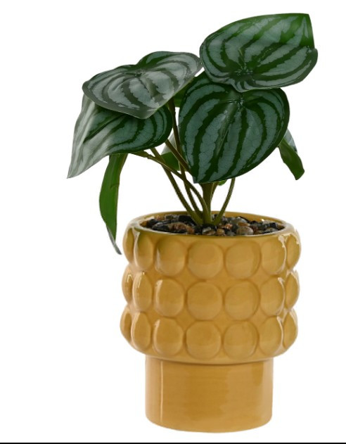 Plante en pot orange 9x9x19 cm