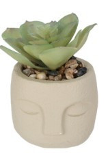 Plante pot ciment blanc