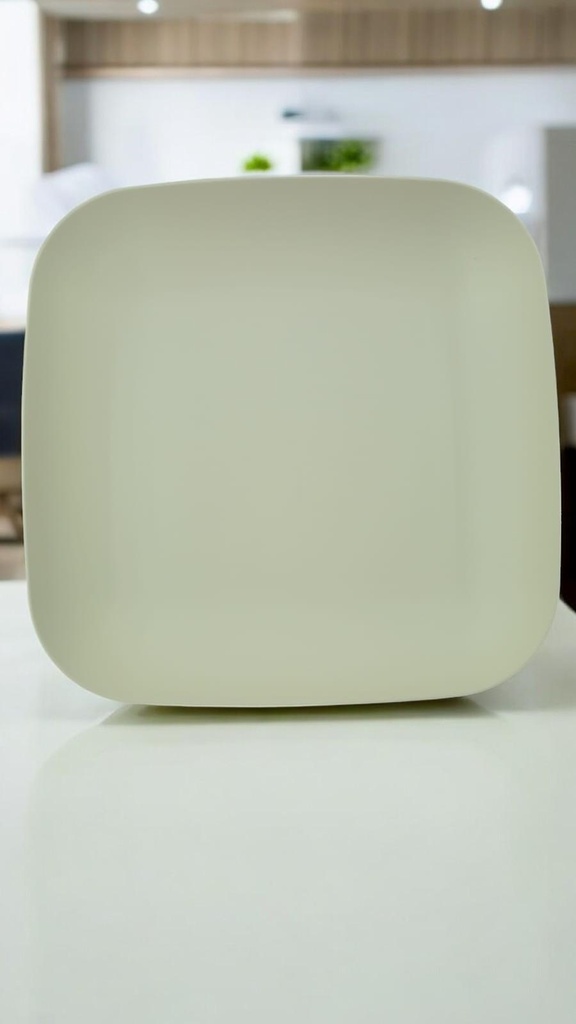 Plateaux carre pp 28x28cm x2 ivoire