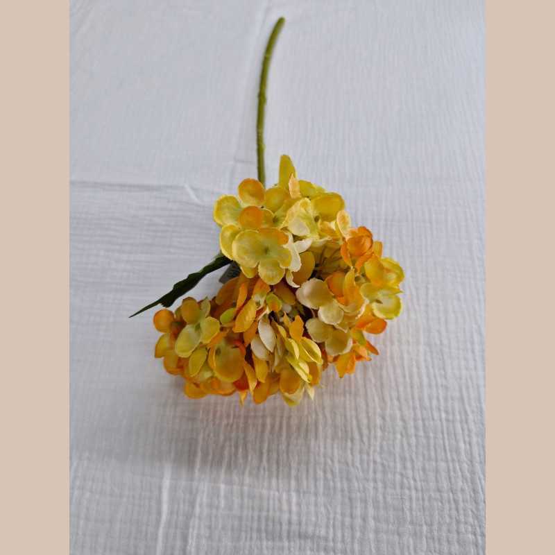 Tige hortensia