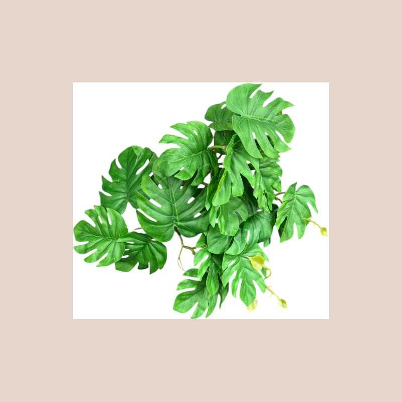 Petit bouquet monstera vert