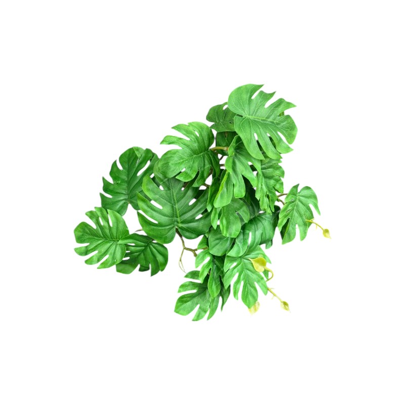 Petit bouquet monstera vert