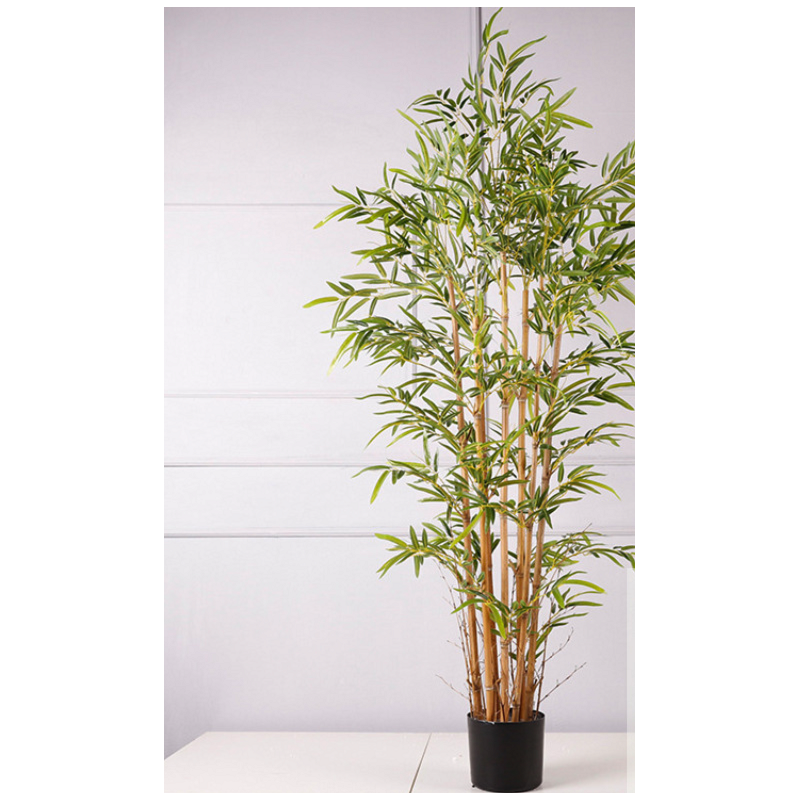 Plante en pot bambou
