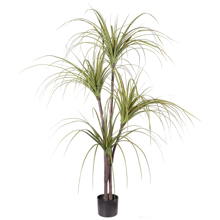Plante en pot yucca 150cm