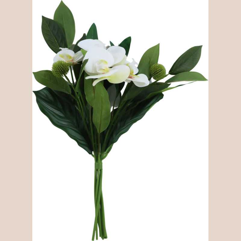 Bouquet orchidé blanc fleur vert