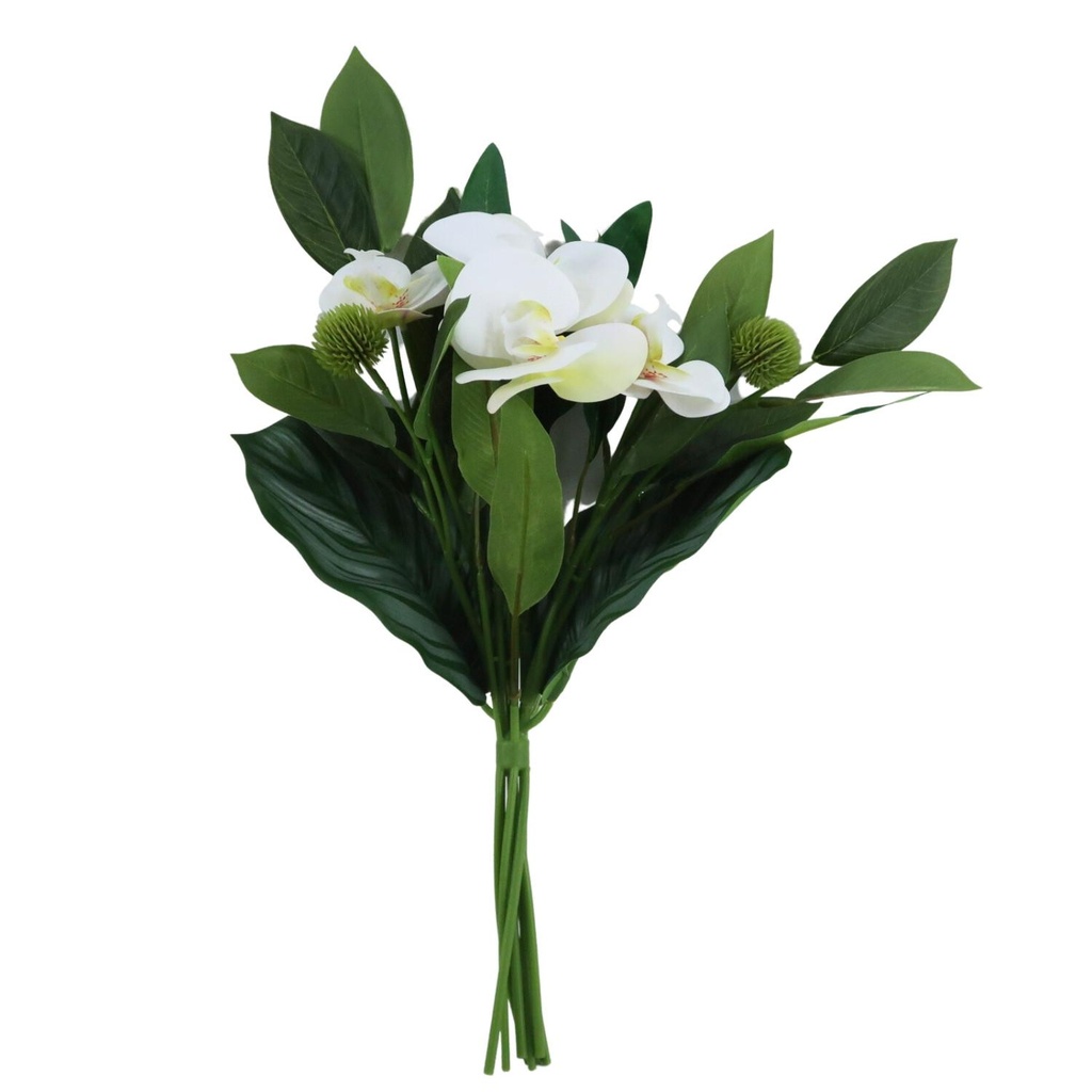 Bouquet orchidé blanc fleur vert