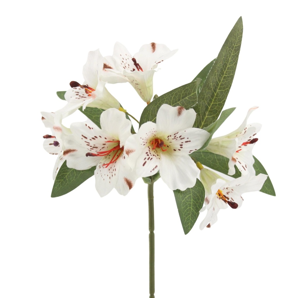 Tige lys blanc tigré