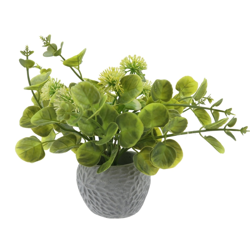 Fleur petit pot gris fleurs eucalyptus coloris vert