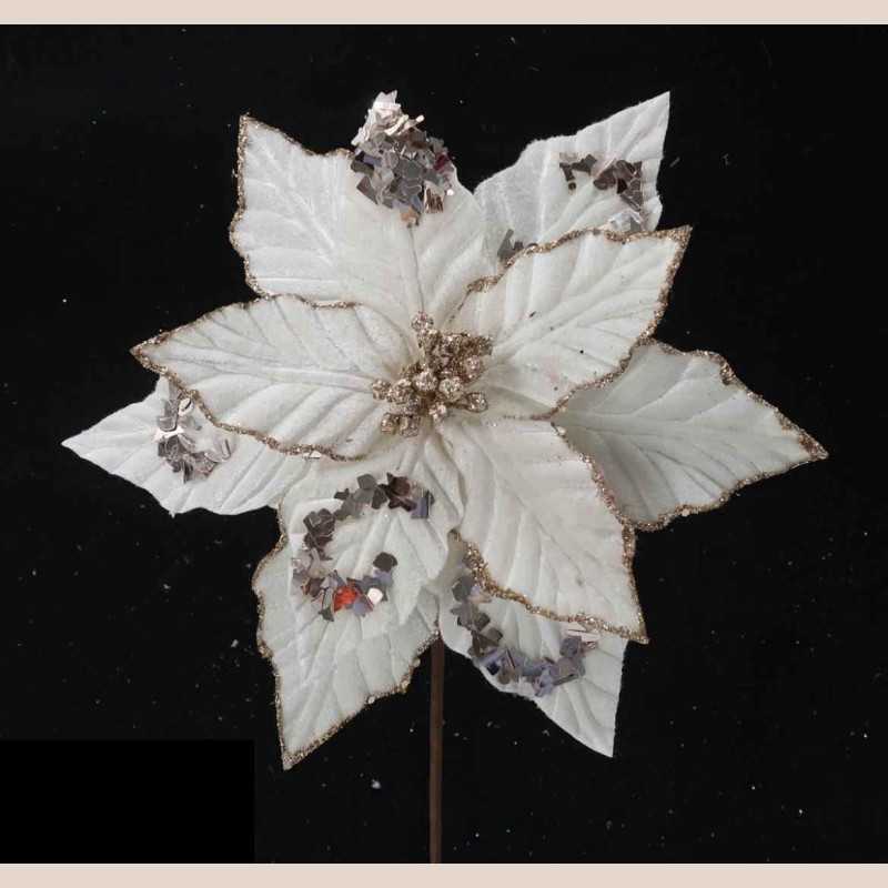 Fleurs de noël 7924335