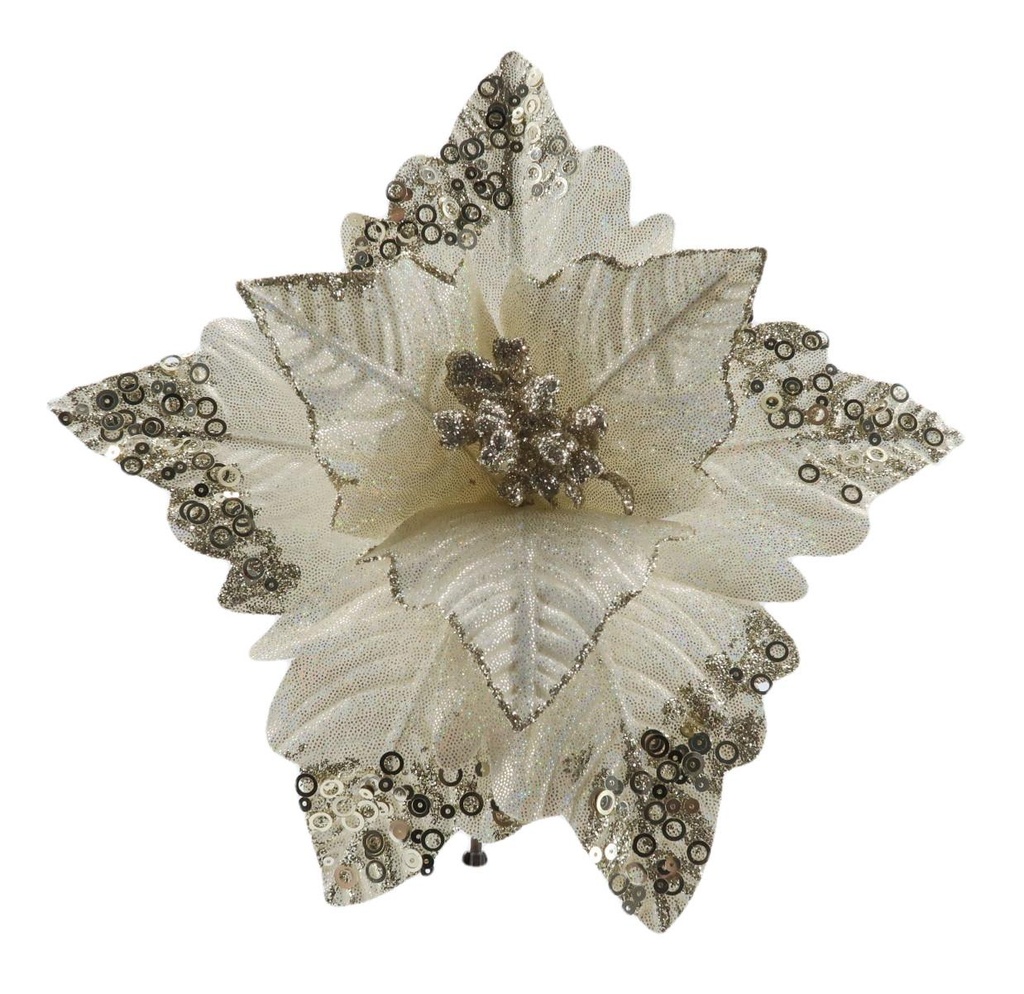 Fleurs de noël f223145
