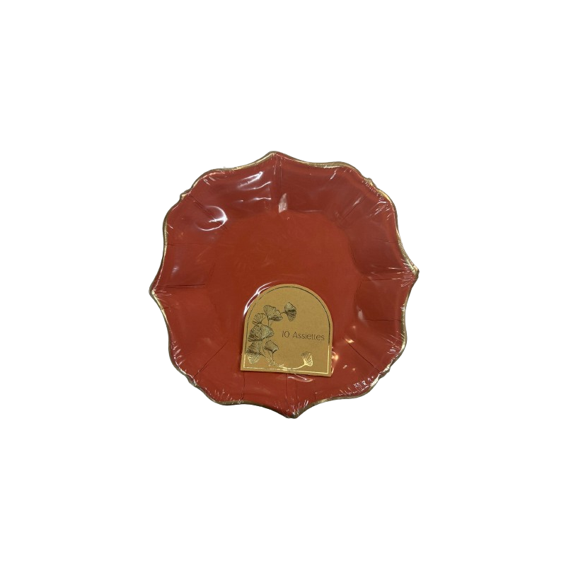 Grand assiette terra x10 