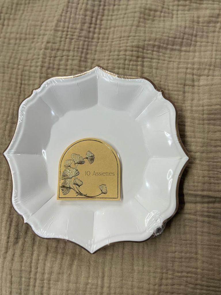 Lot de 10 assiettes dessert blc