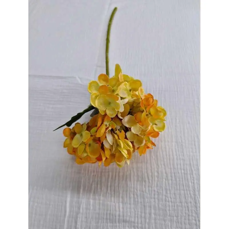 Tige hortensia