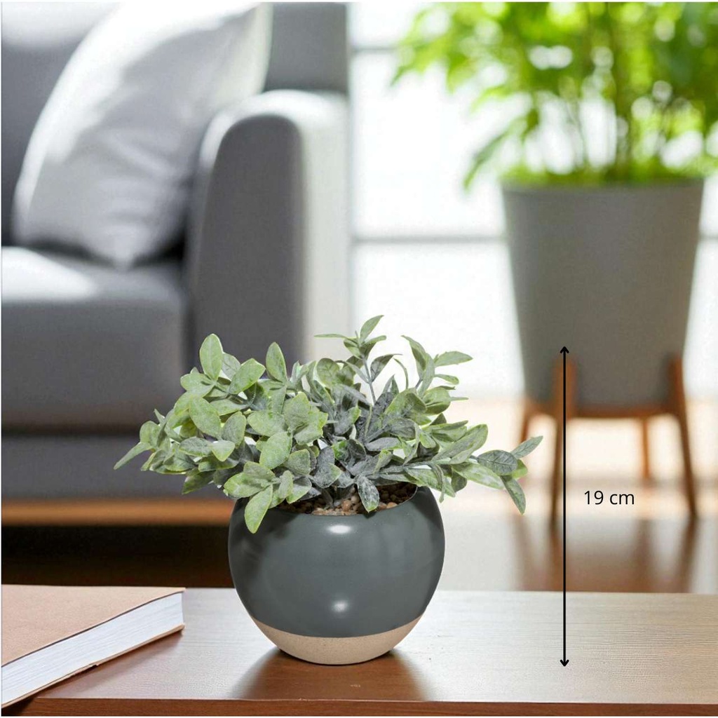 Eucalyptus pot pl cony h127 gris