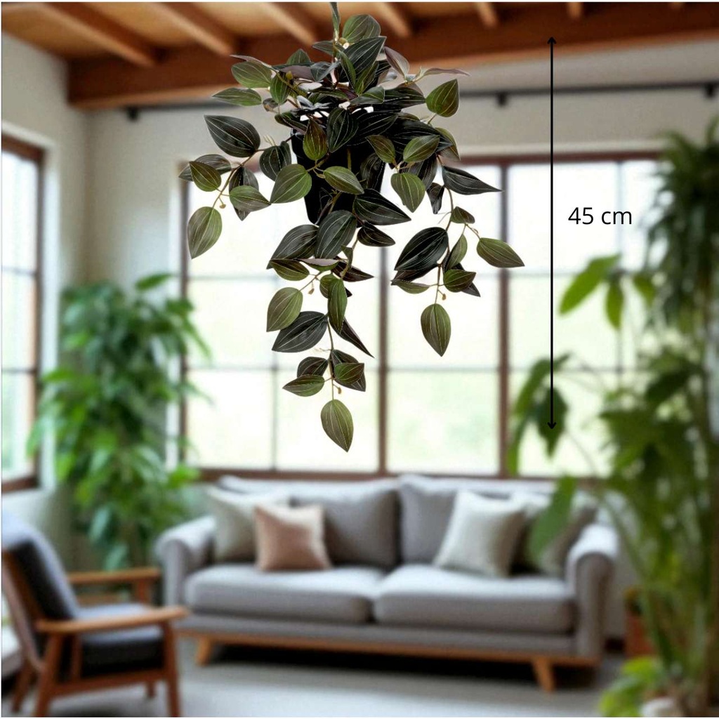 Plante en pot pendent