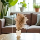 Compo pampa vase orga glen h44