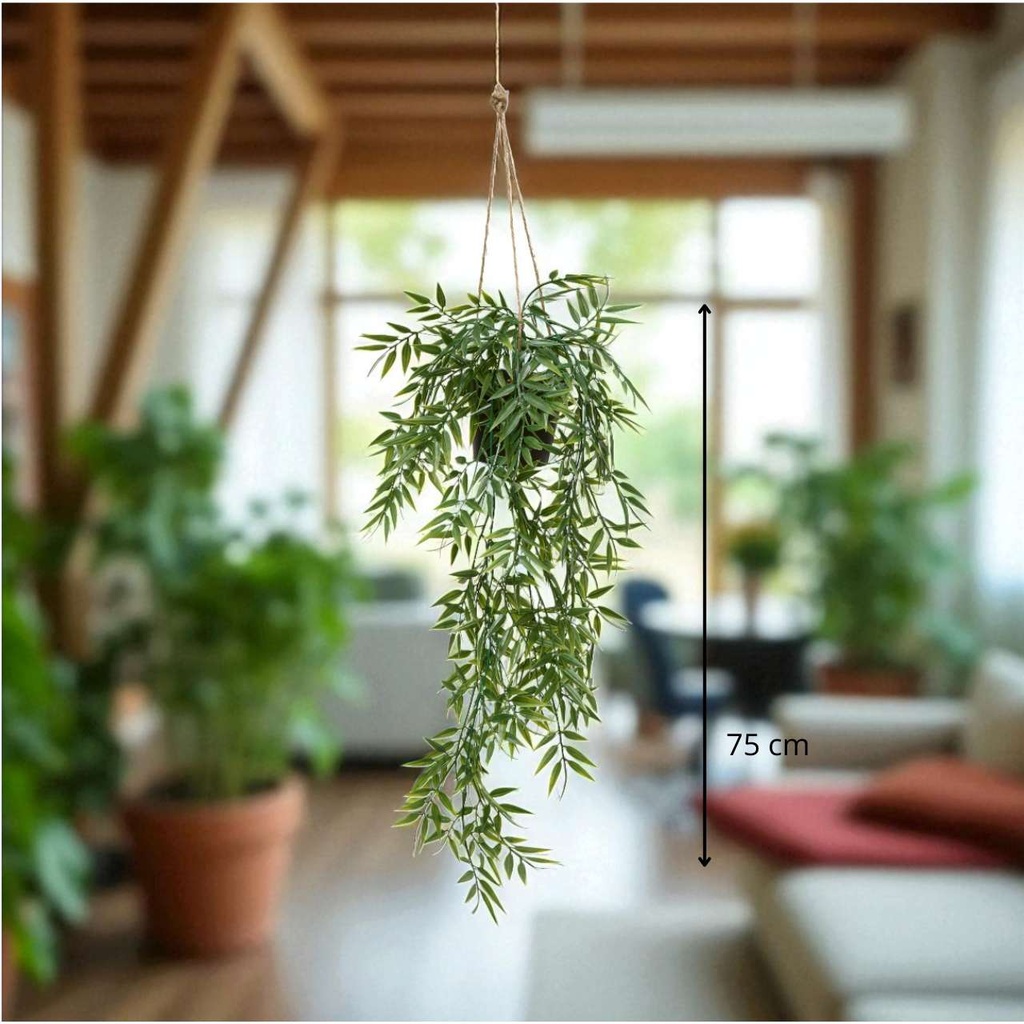 Plante sups bambou liora h67