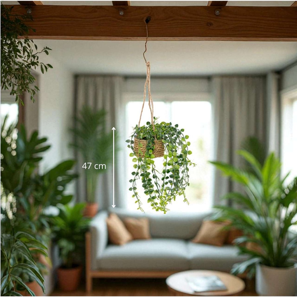 Plante susp nat fern patri h50