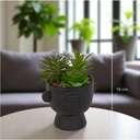 Plante g cim dusty h22 noir