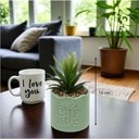 Plante v pot crmq cheri h17 vert