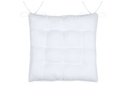 Galette de chaise asgard blanc 40x40x5