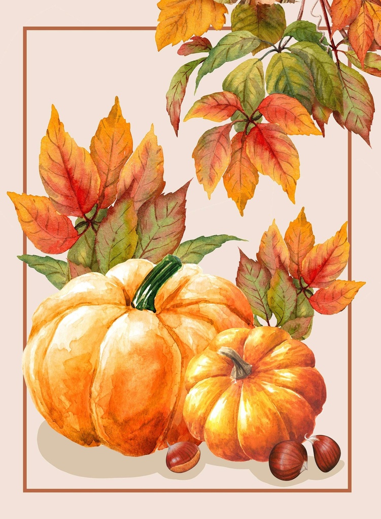 Torchon citrouille orange 50x70