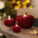 6 Courges Assorties Velours Bordeaux et Or Ø3,5x5,5cm