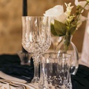 Verre à Pied Réutilisable Plastique Transparent 220ml