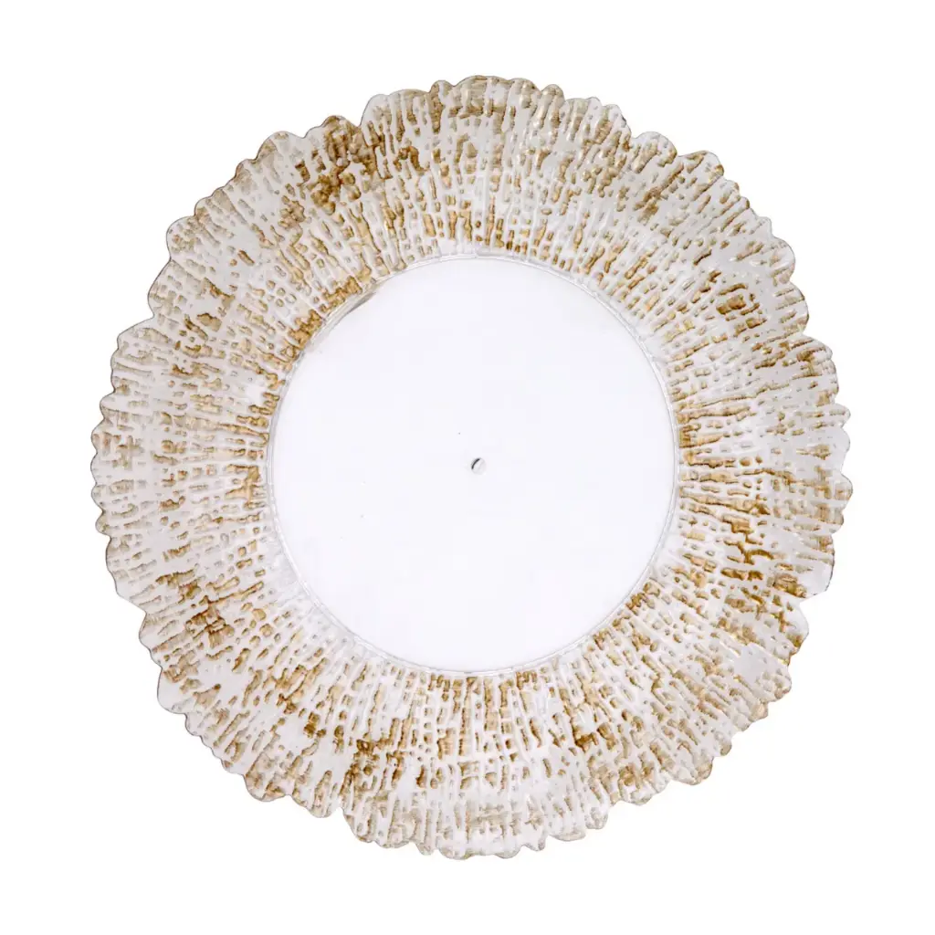 Assiette de chargeur transpare