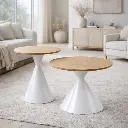 Ensemble de table basse "Lisanne"