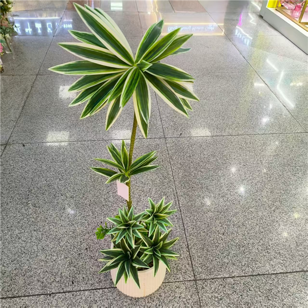 Plante artificielle 18*90 zwgy-18 - Lago