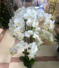 Orchidée 140cm - Elowen